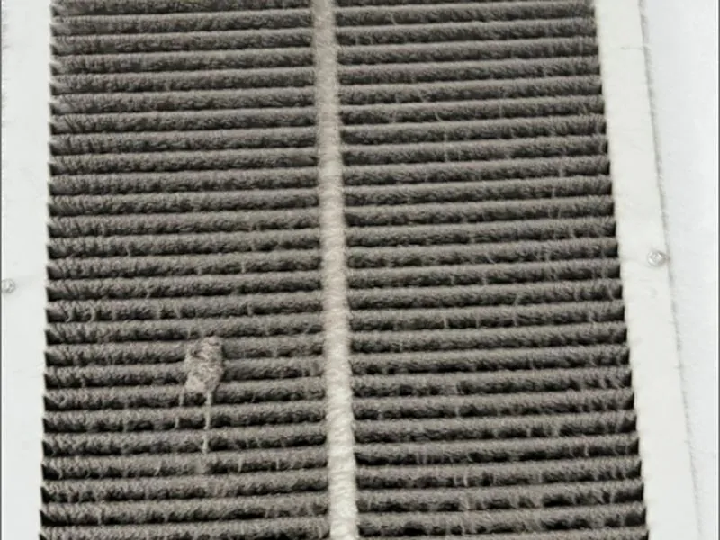 Lint-clogged dryer vent before cleaning